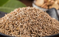 孜然包裝機，給您最好的享受